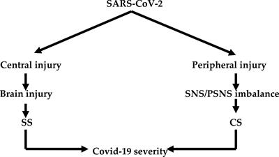 Effects of β-Blockers on the Sympathetic and Cytokines Storms in Covid-19